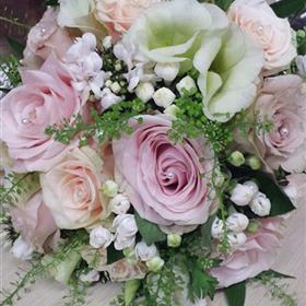 fwthumb464027385_8533338100085066_2972015131271727162_n - Copy.jpg